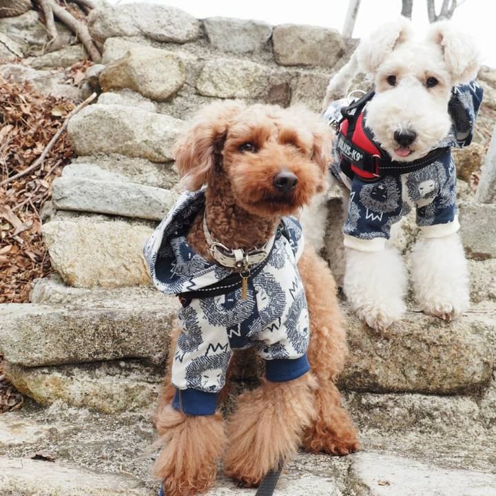 B2462956 0885 4e62 8c10 e47e2d5c105d 1520137162725