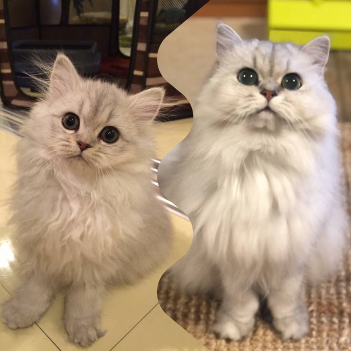 B2463be1 7322 4c3e 9a15 211890138e94 1631883047791