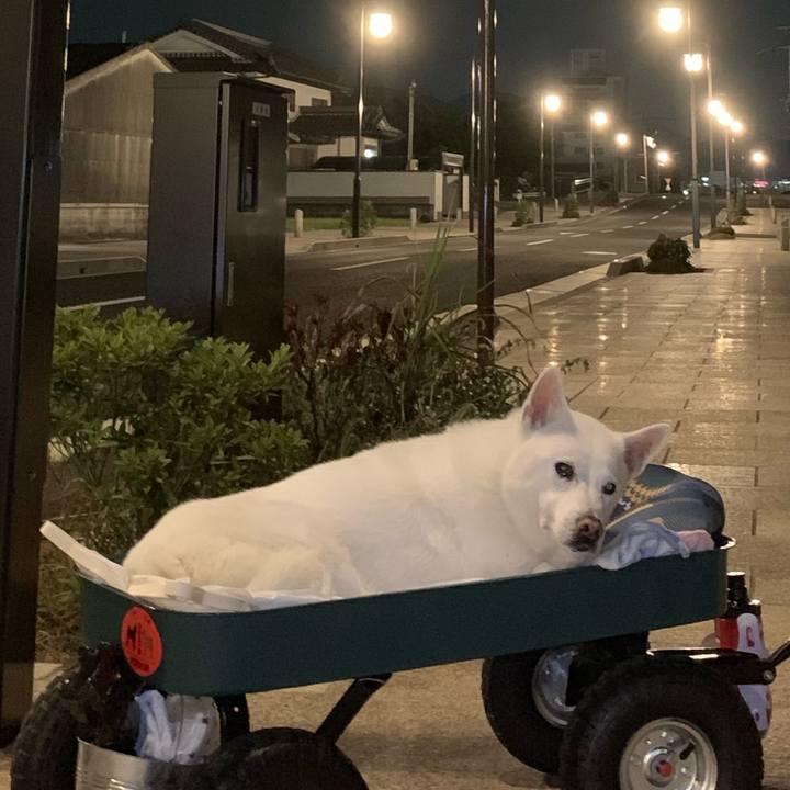 B2464b66 bf72 4718 916e 9028153ffe92 1570054133096