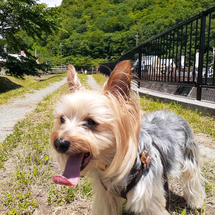 B246579a cf45 464c 959e f5e2810e7f9b 1622264962247