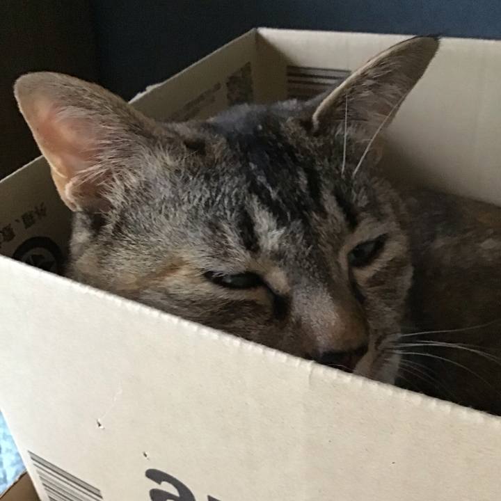 B2466063 ede8 4403 92f7 3f95fffa1f8a 1624784645141