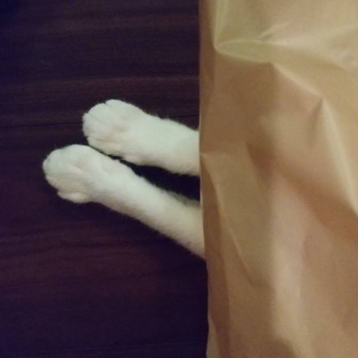 B2468cc7 c31d 4d2f aecb e209e1be5cca 1596549916666