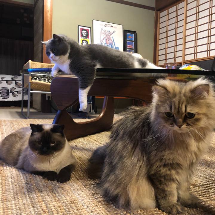 B2468d51 c36c 4417 89ea b3c8f8df9084 1626439485765