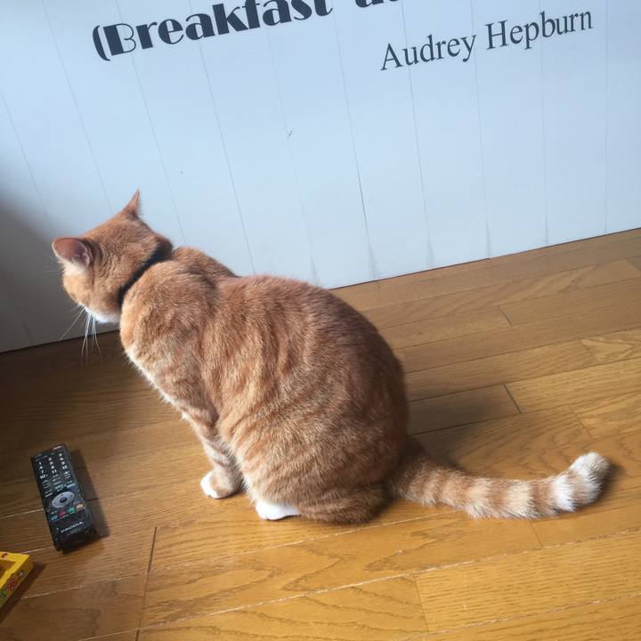 B246a1bd 8ed6 4f29 846f c243e11bbc8b 1563856141861