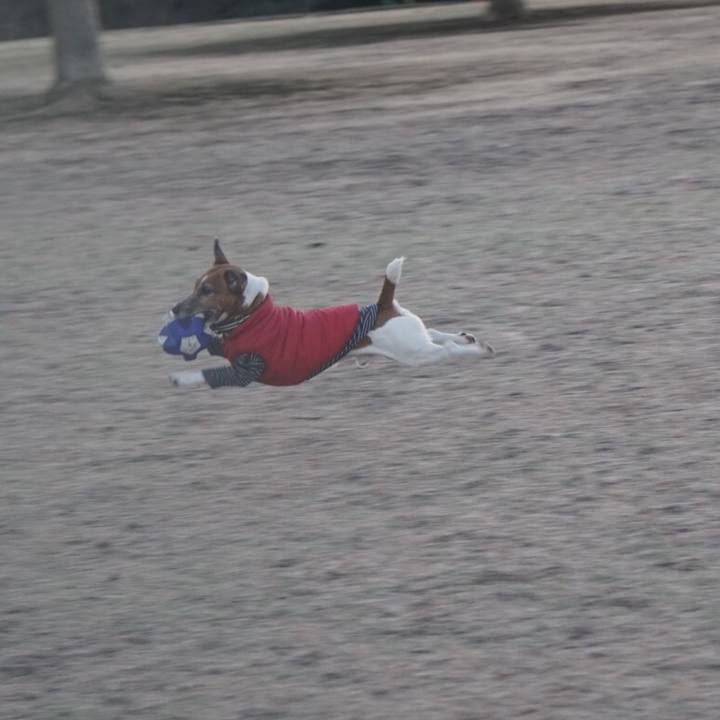 B246e80c 0cc7 4320 9024 429595e471ce 1612307933077