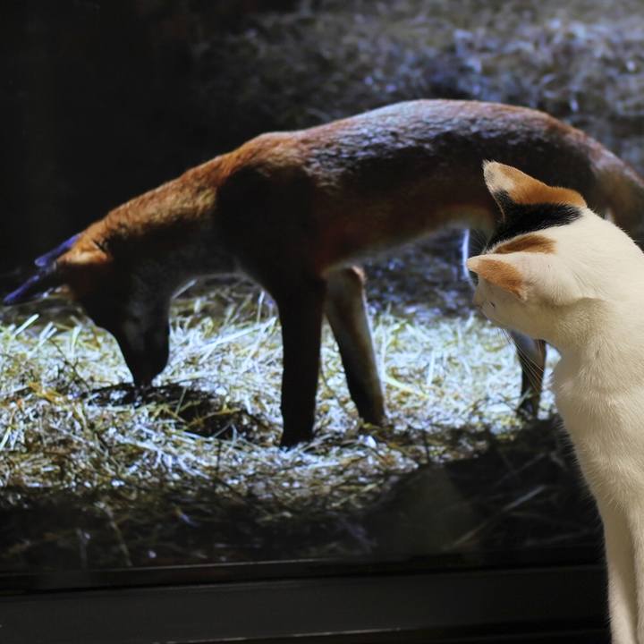 B246fa3f 1578 431c aa43 d580395807bc 1565420271314