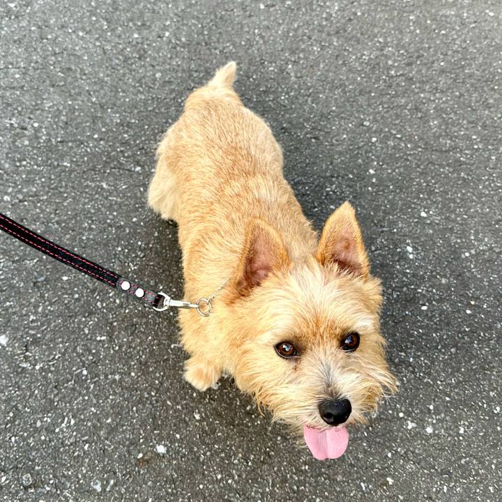 B2470b32 1ac0 4f6d b982 813b4b0a99c6 1754200501770