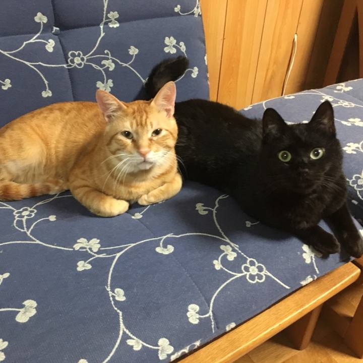 B24738c0 c0e6 4ffd b2b6 d2dc79a619c3 1561246052063