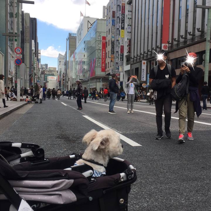 B2476e82 ffac 4374 9a3f 93cec934ba69 1510396363887