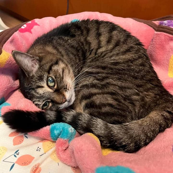 B247ba53 ea87 4355 96f3 f649fc9cc1a1 1762310360791