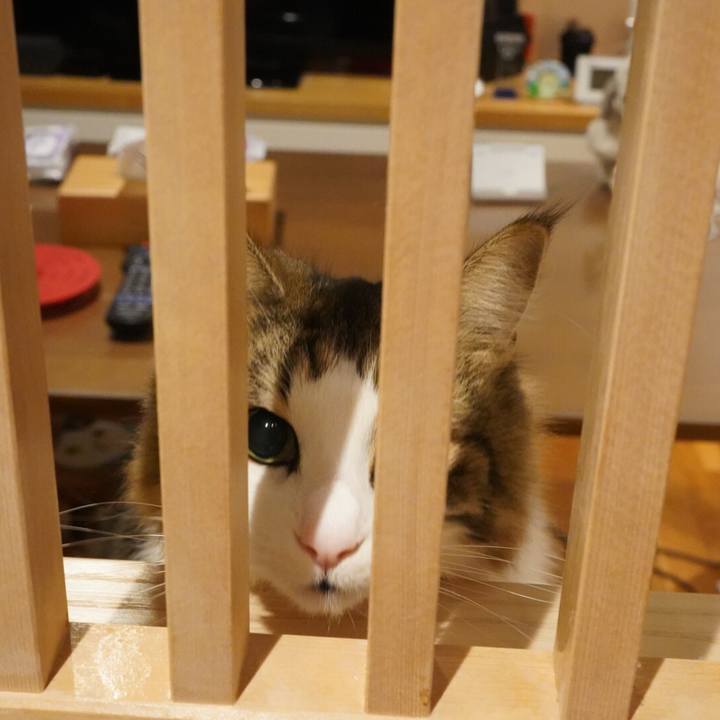 B247be08 dbb4 4420 811e 3d1466771d56 1606482053311