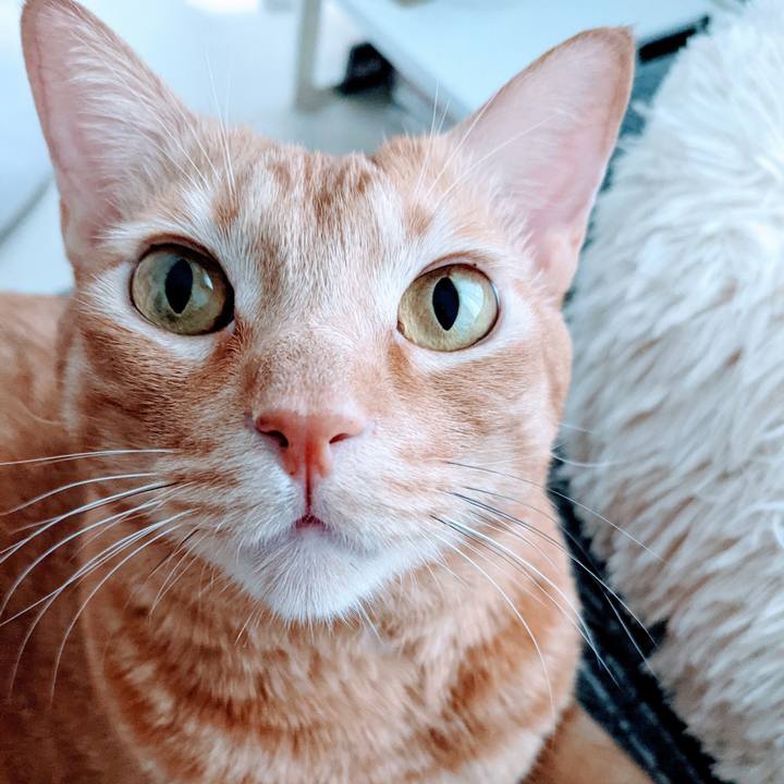 B248791e 1d37 48d1 8631 71c1e0a5c5e8 1633745201747