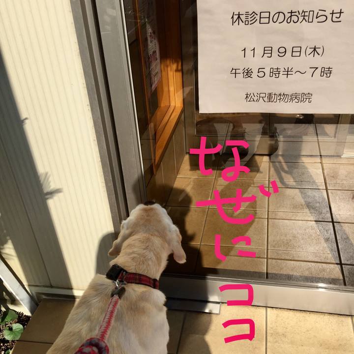 B2488a55 9a26 4109 98a6 bba480c3bedd 1510028941386