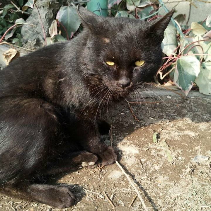 B2488e05 bc4c 4a10 8874 b13e4eb464b5 1519700897718