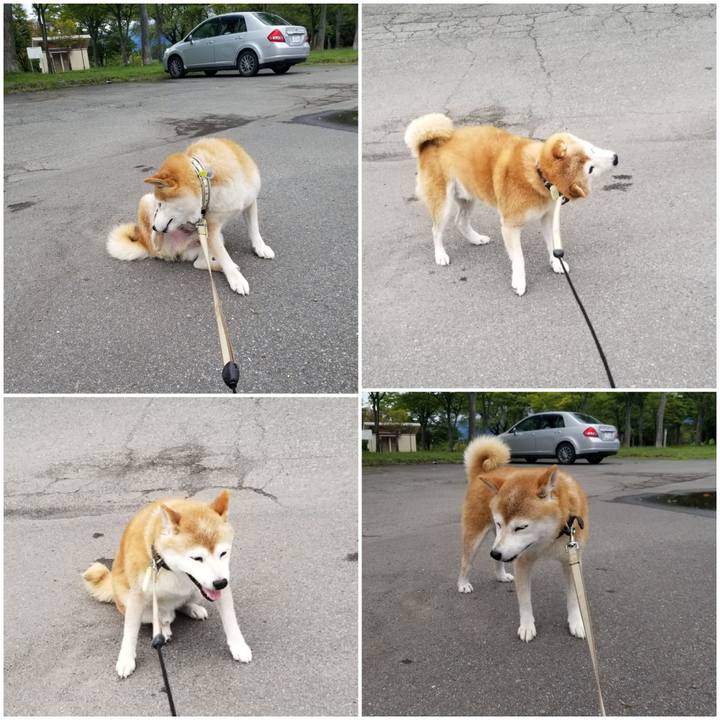 B248a8d3 f437 4101 8e6d 9fdaa8d25192 1662091196665