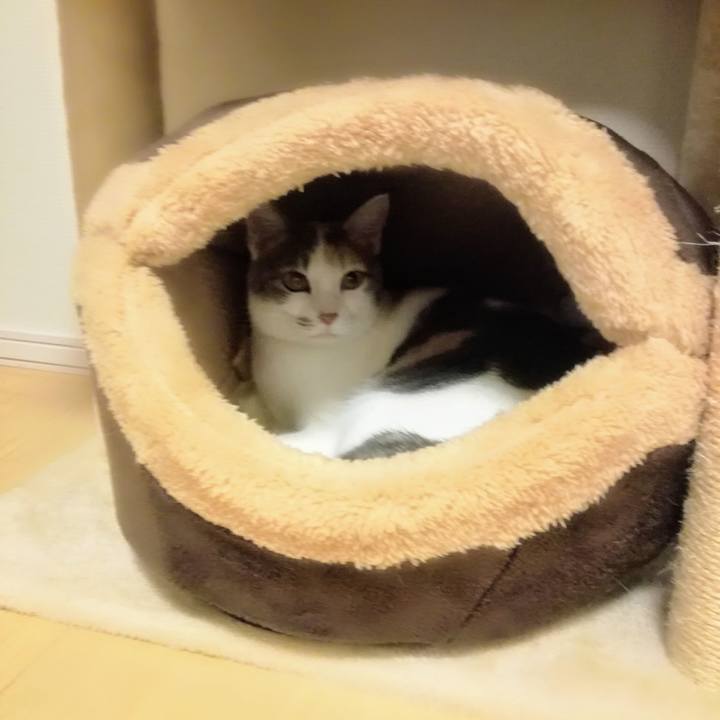 B248e3e4 1b88 4588 b32a fef44a43a10c 1541381930388