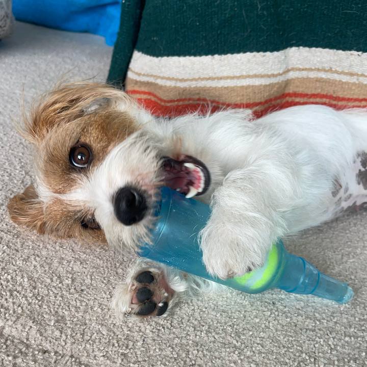 B248e641 26e2 40f6 ae58 519664d1bbbc 1759887192187