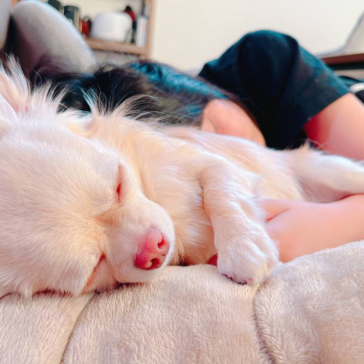 B248fe99 38a5 47bb bf95 f809cf737f8d 1649733145116