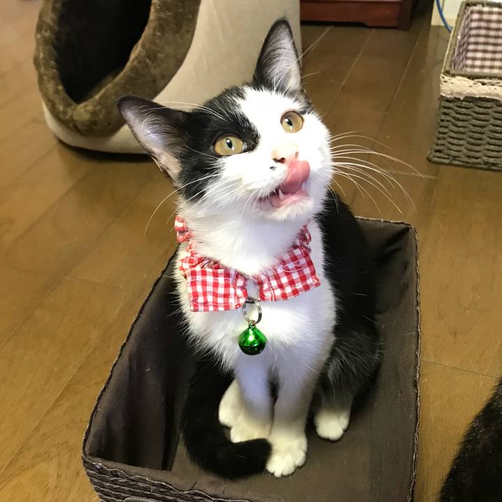 B249014d 806e 4917 a313 abe15e098f9e 1510108466267