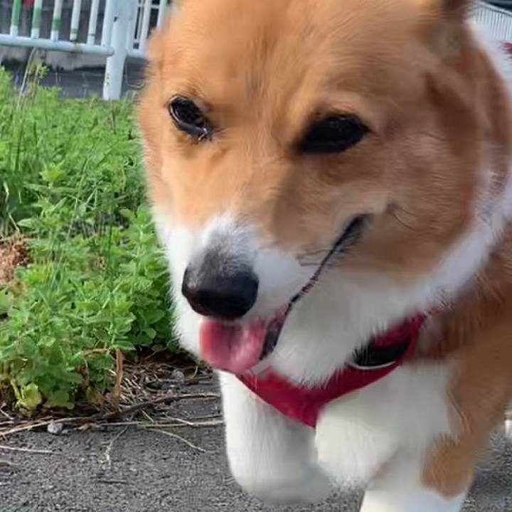 B2494baf f5bd 4662 8222 e97210dfd32e 1658704872152