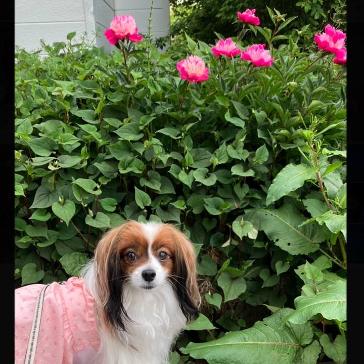 B249642e b663 4516 948f 2d5c5905f59f 1718321092724