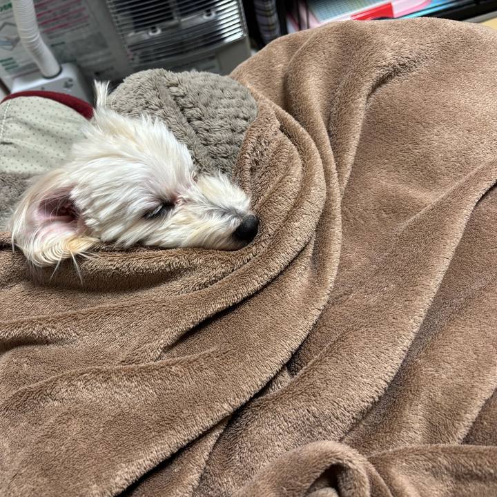 B24970fc 4177 45f7 a9de 59477305ac37 1768135141405