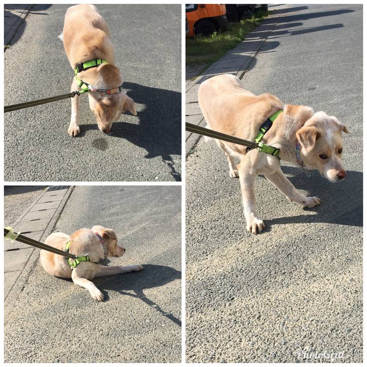 B24974ff fde3 421c bd12 5e0ce1df02ce 1524958917047