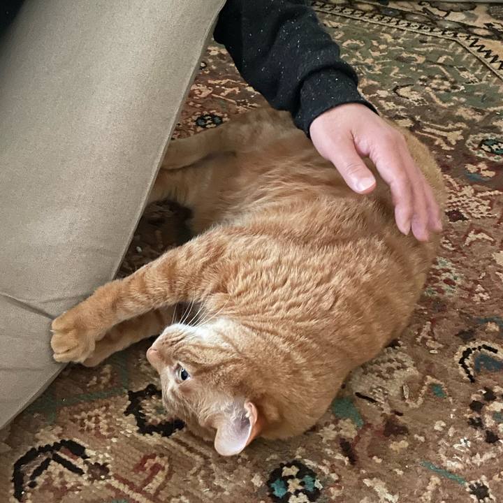 B2498885 39dc 4948 a0ae 760e26e137be 1648610042682