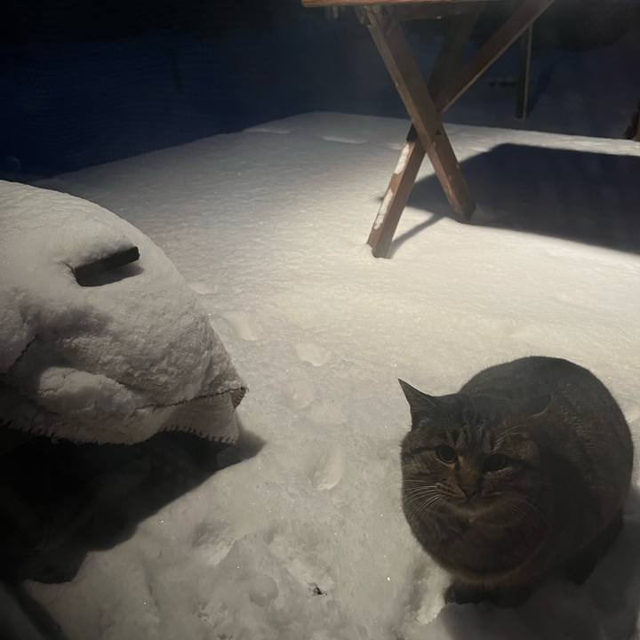 B249a50a f5ec 4f34 a07a e363e57a33f1 1733953041006