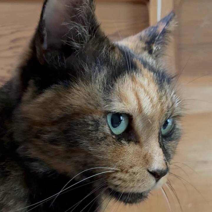 B249b9ad aaea 40d4 ab6b ec696ca24dd0 1755779910576