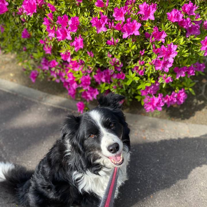 B249c617 8ee9 4b32 8920 6ff36045ccac 1618706579849