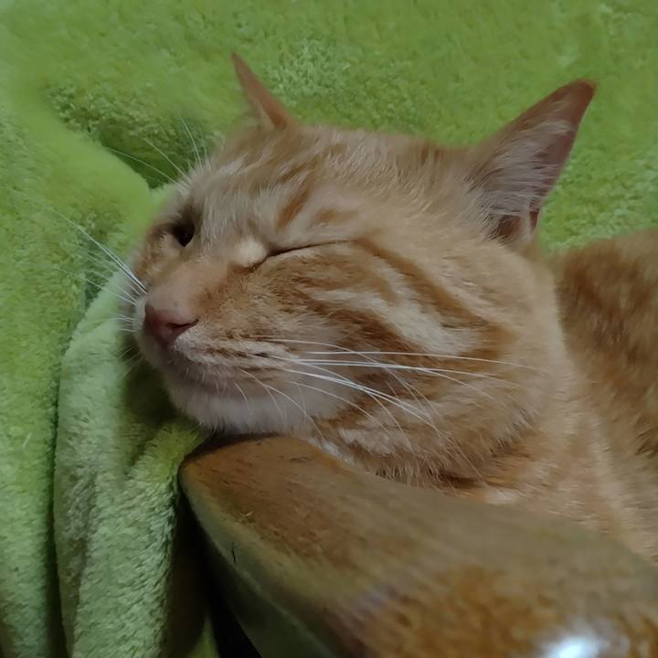 B249e71d da28 4aaf 921d fe1d0feb6769 1668943916585