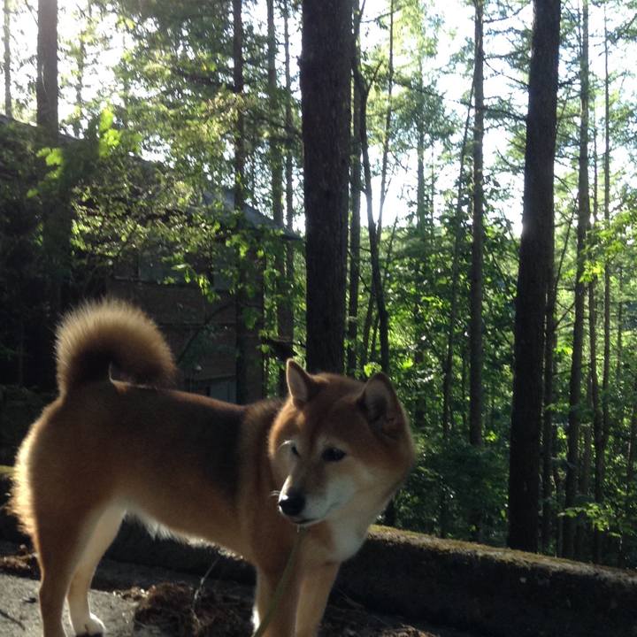 B249ea28 b5fb 46d3 b0c4 a5e54abf70b9 1534496025743