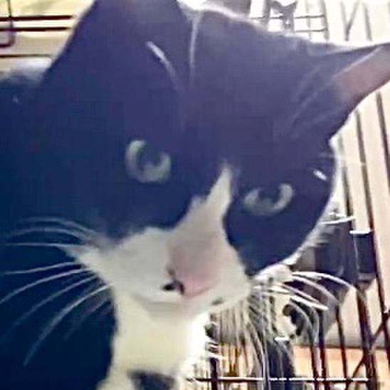 B24a3191 d366 44be 91b7 3f5376a91bfb 1736163659130