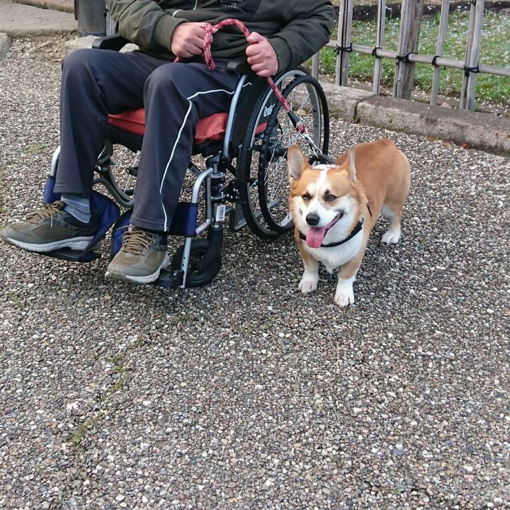 B24a91ec b242 4ed2 b2ad 90b08c45628a 1681197351600