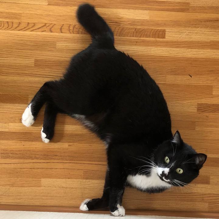 B24aa37a d31b 4390 956d bae66e54420b 1588752365911