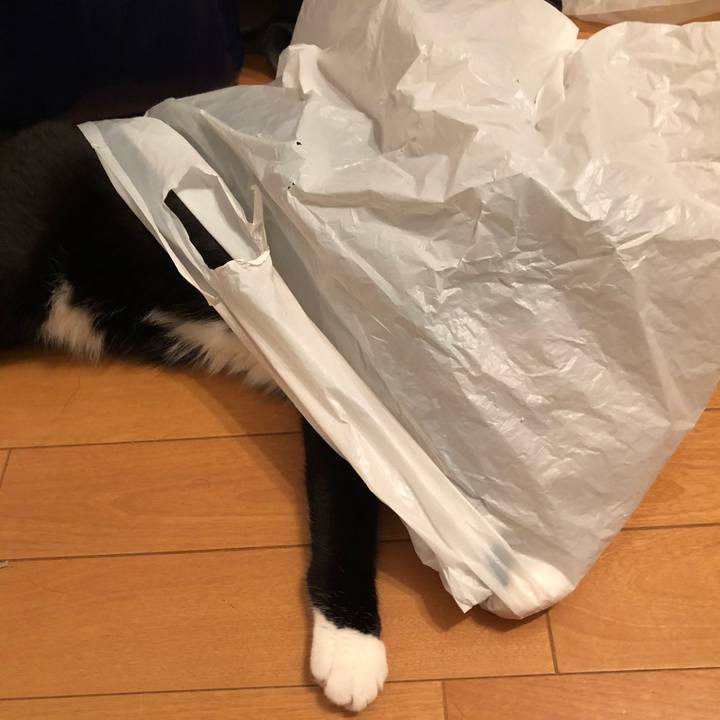 B24aa4d4 4918 4f35 bb59 0d6cbfeb96ff 1556237961988