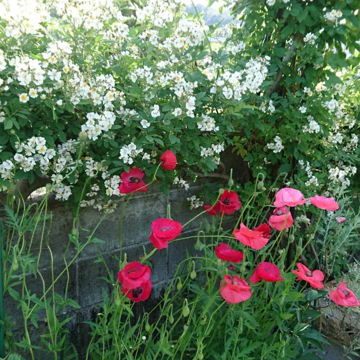 B24b08fb 315f 4c8b a879 a6b391923fe6 1525480180234