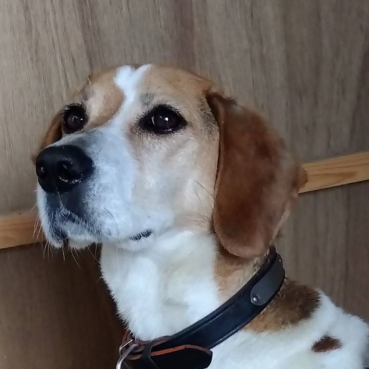 B24b2182 89a5 408f a30c cb99b018924c 1686575873541