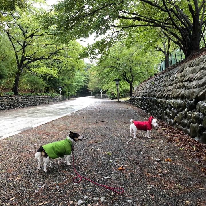 B24b41d7 1433 4a16 beba 69c4fc58ac7b 1536363508129