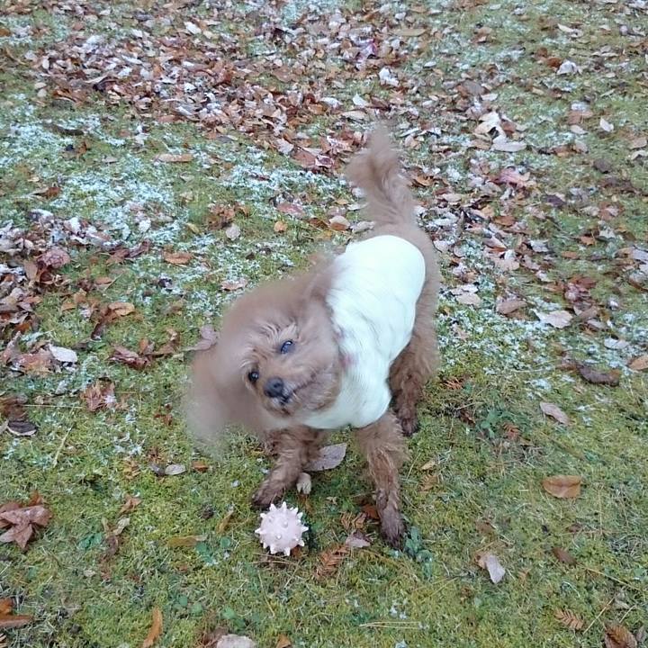 B24b6ecb ef52 44d8 b10b 6c17a8ea939b 1511277378318