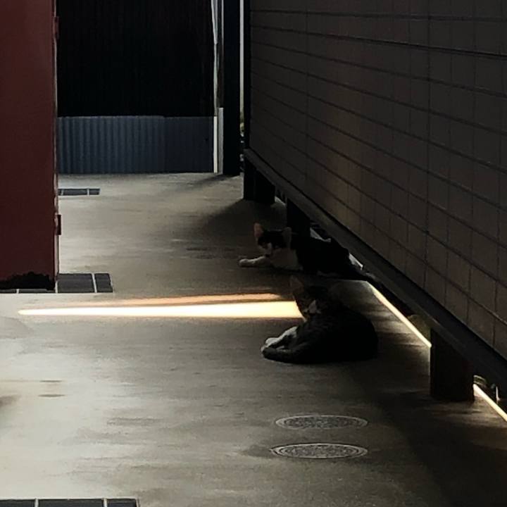 B24bd0b9 416e 4fa3 8c6b df2463577bab 1567176647932