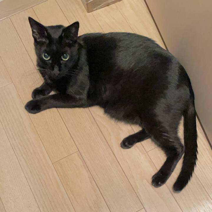 B24bdd2a 07b0 4e6a 90de 14cec1361cee 1725718920101