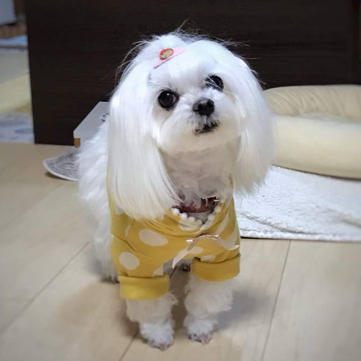 B24beacf d66f 4013 ac1f d025b95df79c 1774921582978