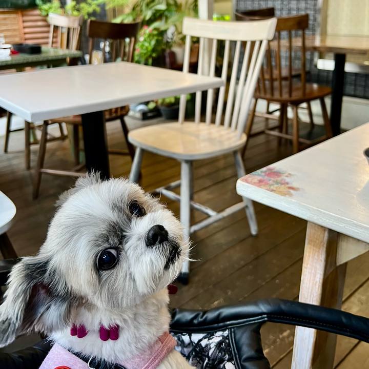 B24c5983 95d5 4134 9ddd 5830b006b65e 1761431129669