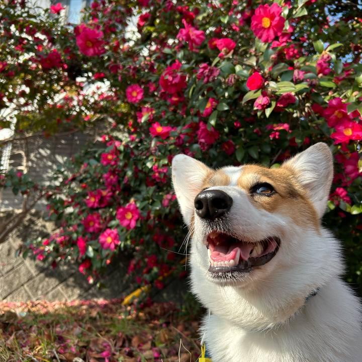 B24c6f3e 0509 4e9c 8887 ec9137165b19 1768800056312