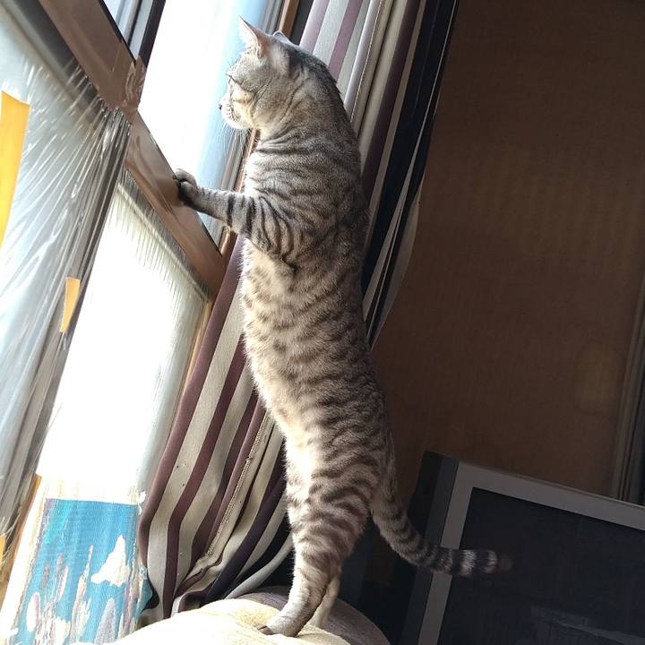 B24cafcd 3168 4eb4 b759 99afea78d244 1617763238429