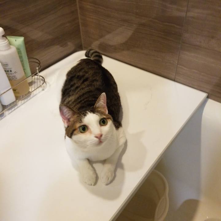 B24cc50c b4b0 46e7 955e 2c5b16d76b5a 1572257397881