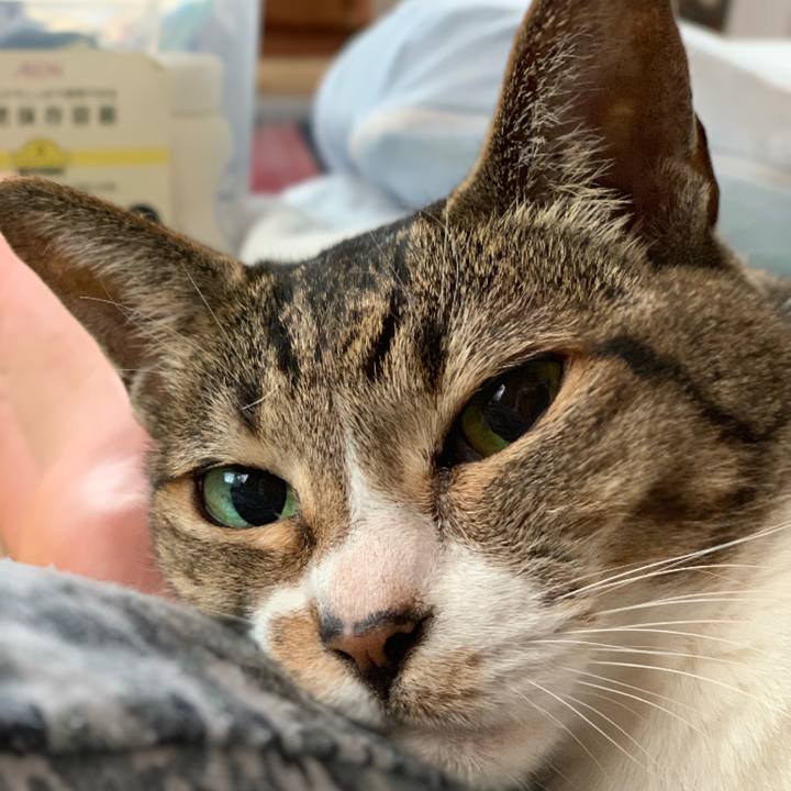 B24cc950 f2f1 4219 9504 23224ec1b454 1540603194439