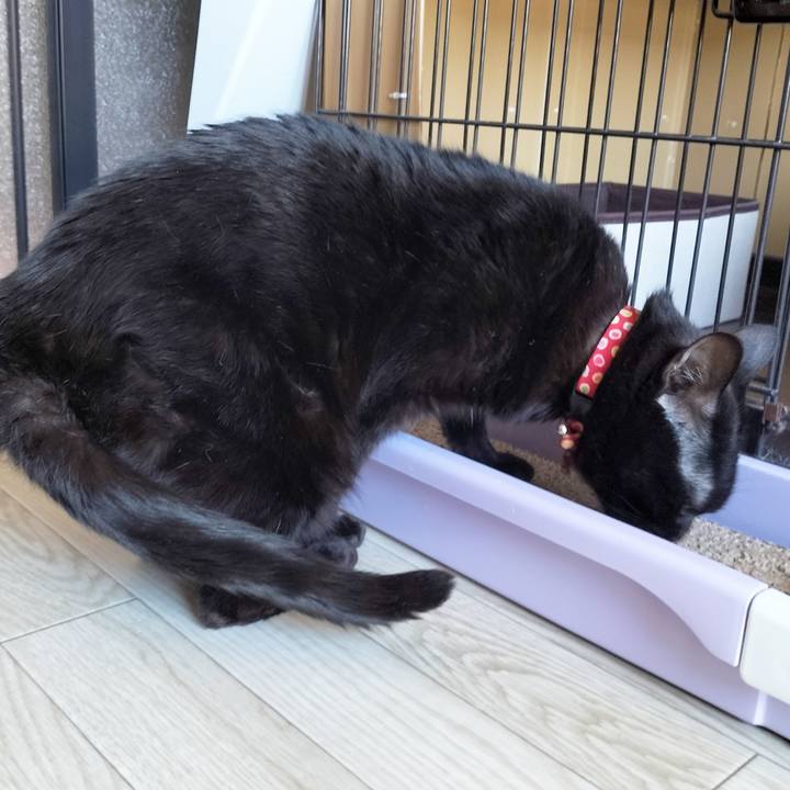 B24ce6e7 4134 4504 8661 ebdde0af7532 1677299526056